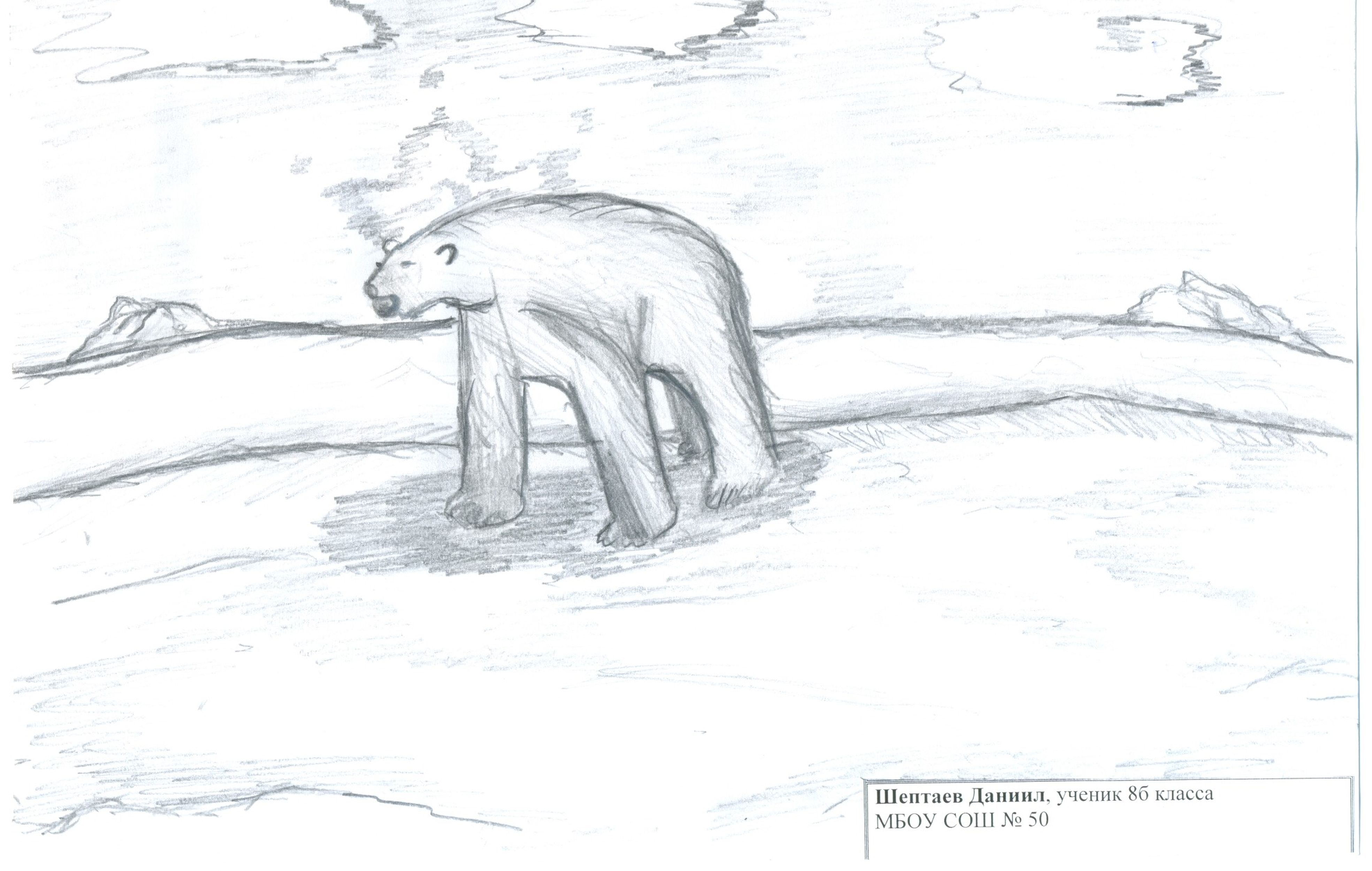 Арктика рисунок карандашом легкий